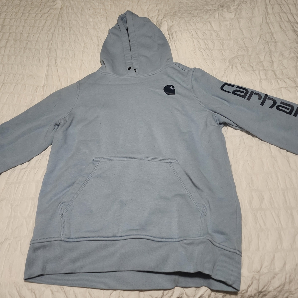 Carhartt Men's Blue Hoodie